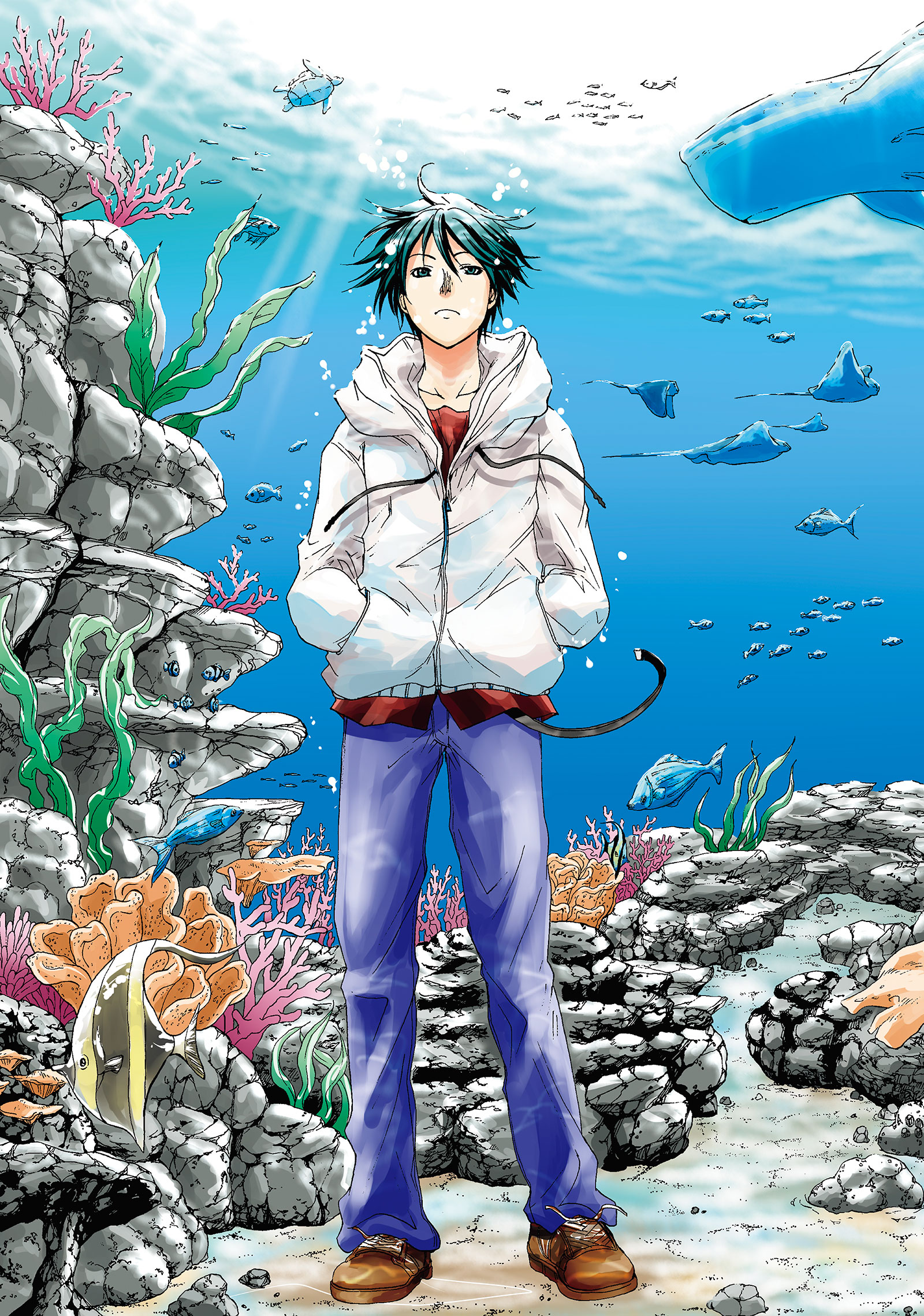 Grand Blue Dreaming