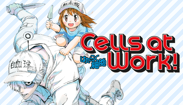 Cells at Work!