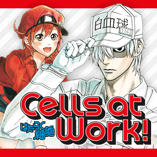 Cells at Work!