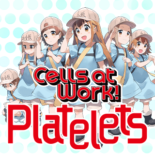 Cells at Work: Platelets!