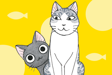 Sue & Tai-Chan