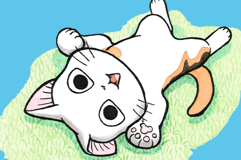 FukuFuku Kitten Tales