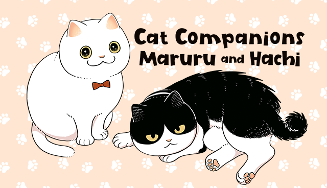 Cat Companions MaRuRu and Hachi