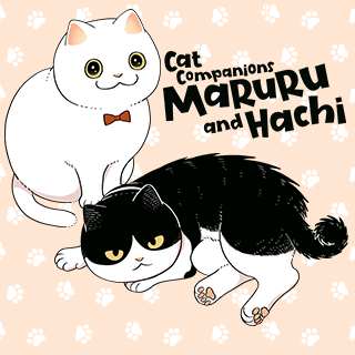 Cat Companions MaRuRu and Hachi